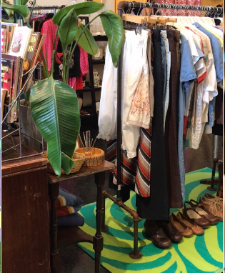 Parcera Vintage Gallery 2